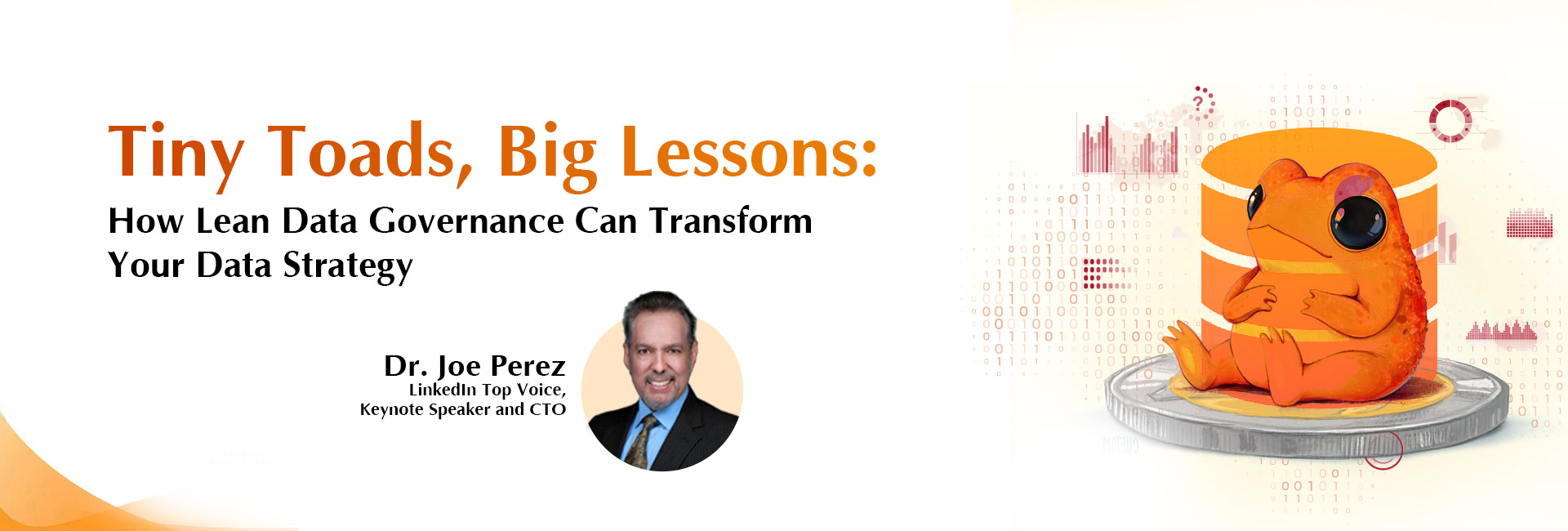 Website_DrJoeLeanDataGovernance